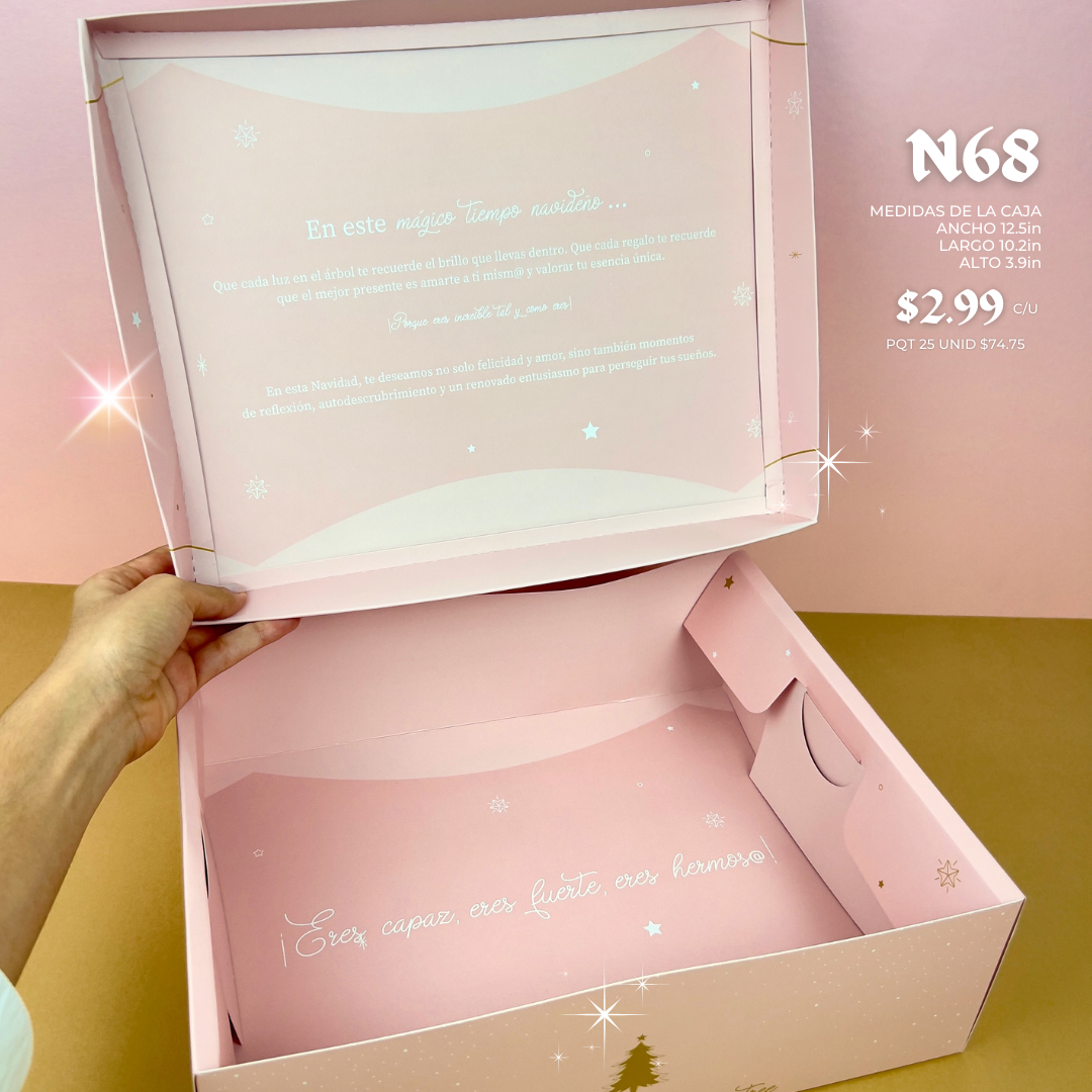 BIG GIFT BOX PINK CHRISTMAS DREAMS