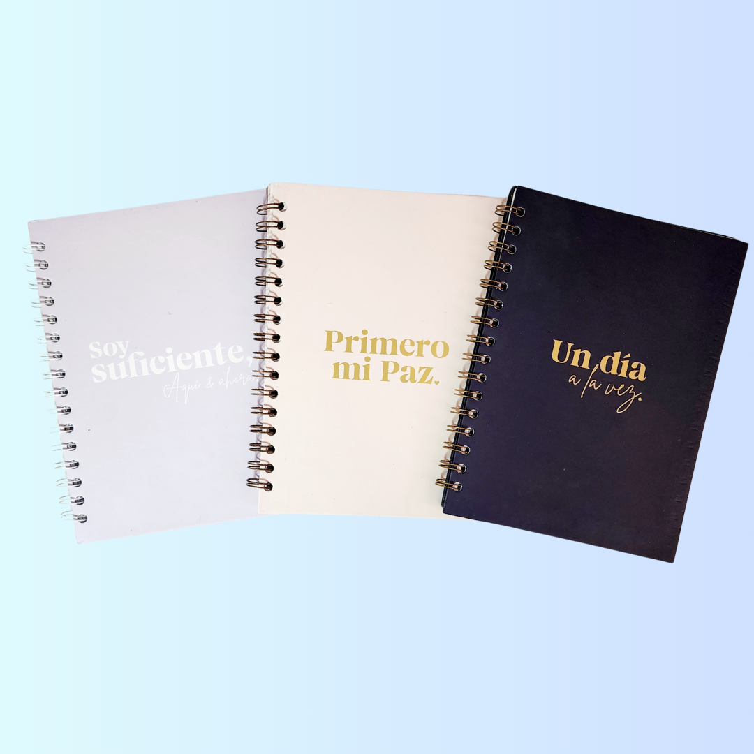 3 Planner Book Set - Free Shipping