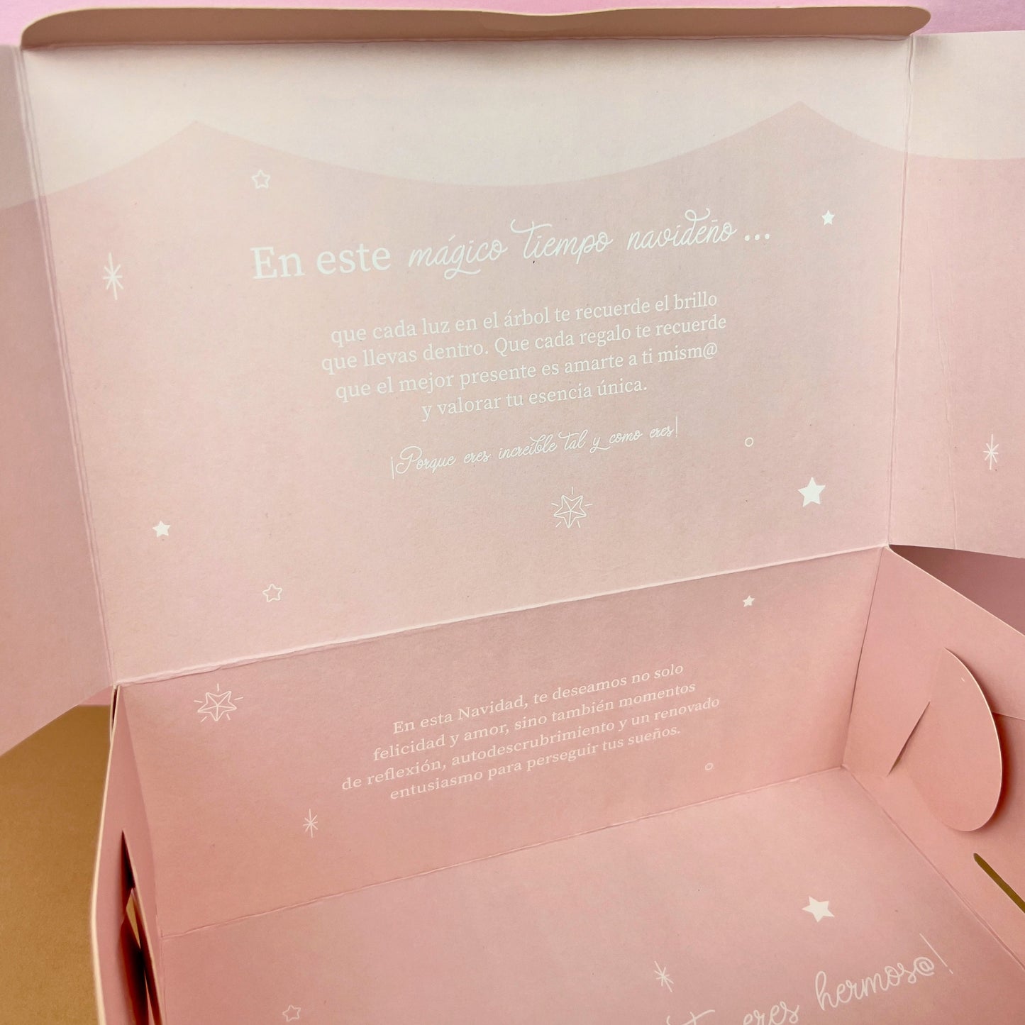 GIFT BOX PINK CHRISTMAS DREAMS