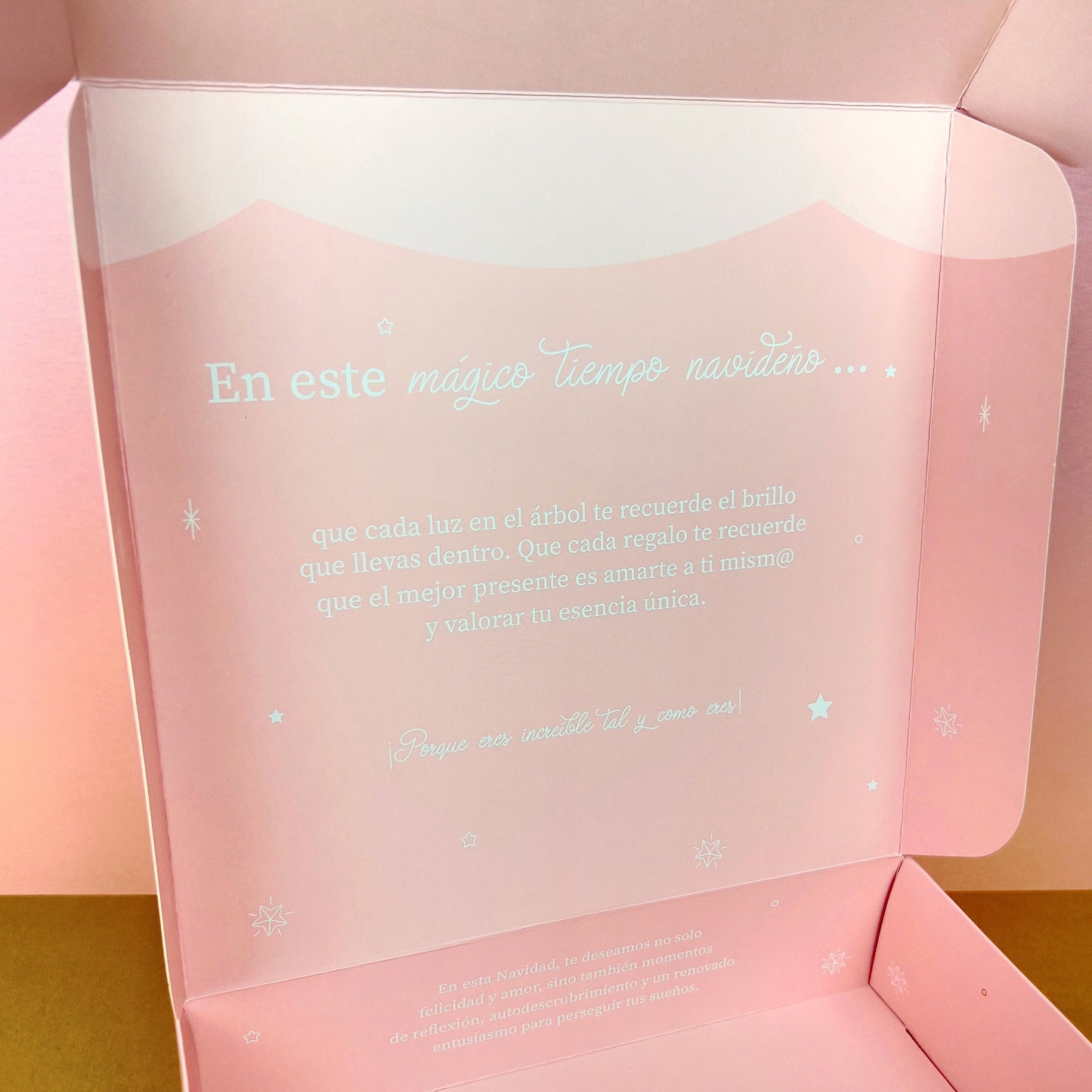 GIFT BOX PINK CHRISTMAS DREAMS