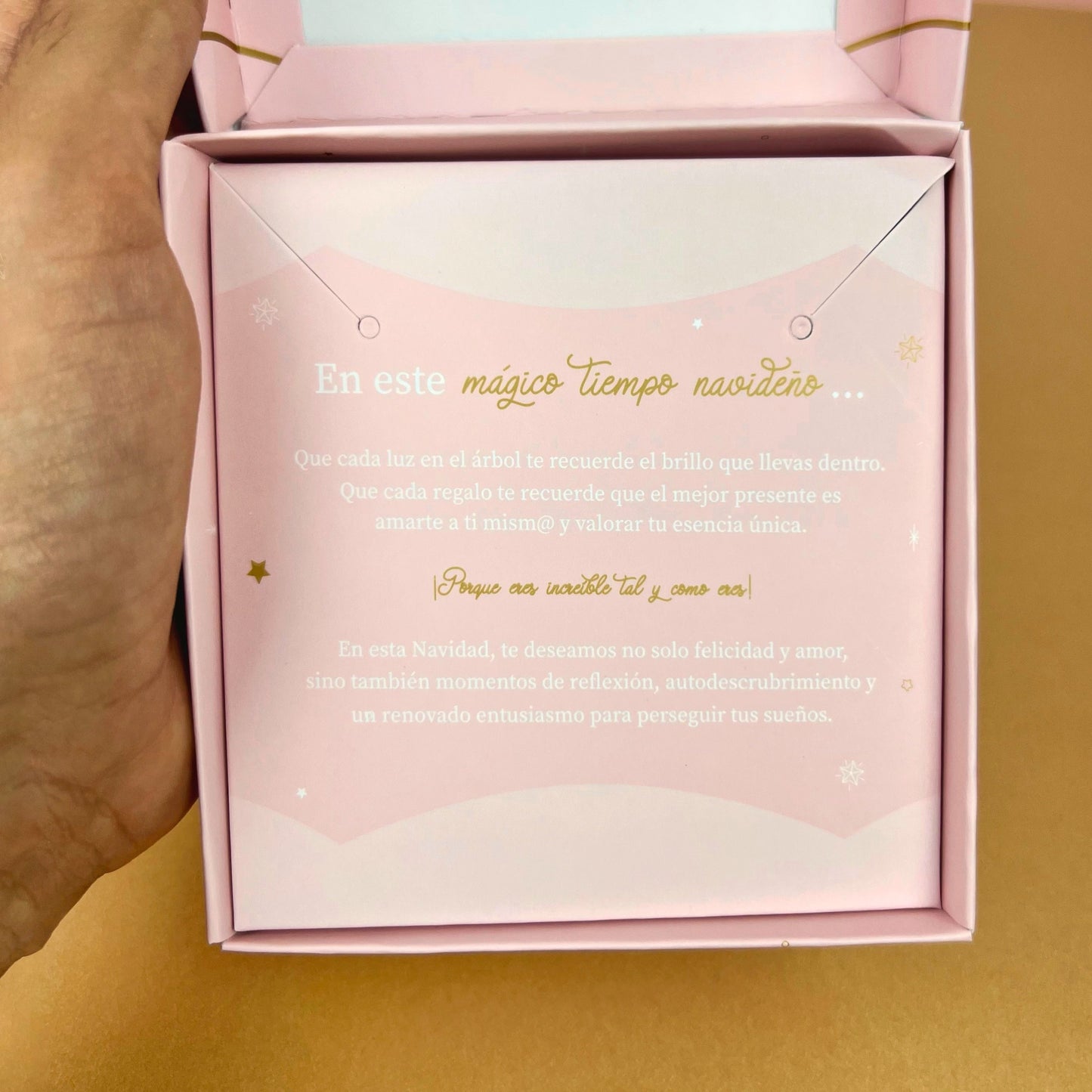 ACCESORIES PINK CHRISTMAS DREAMS