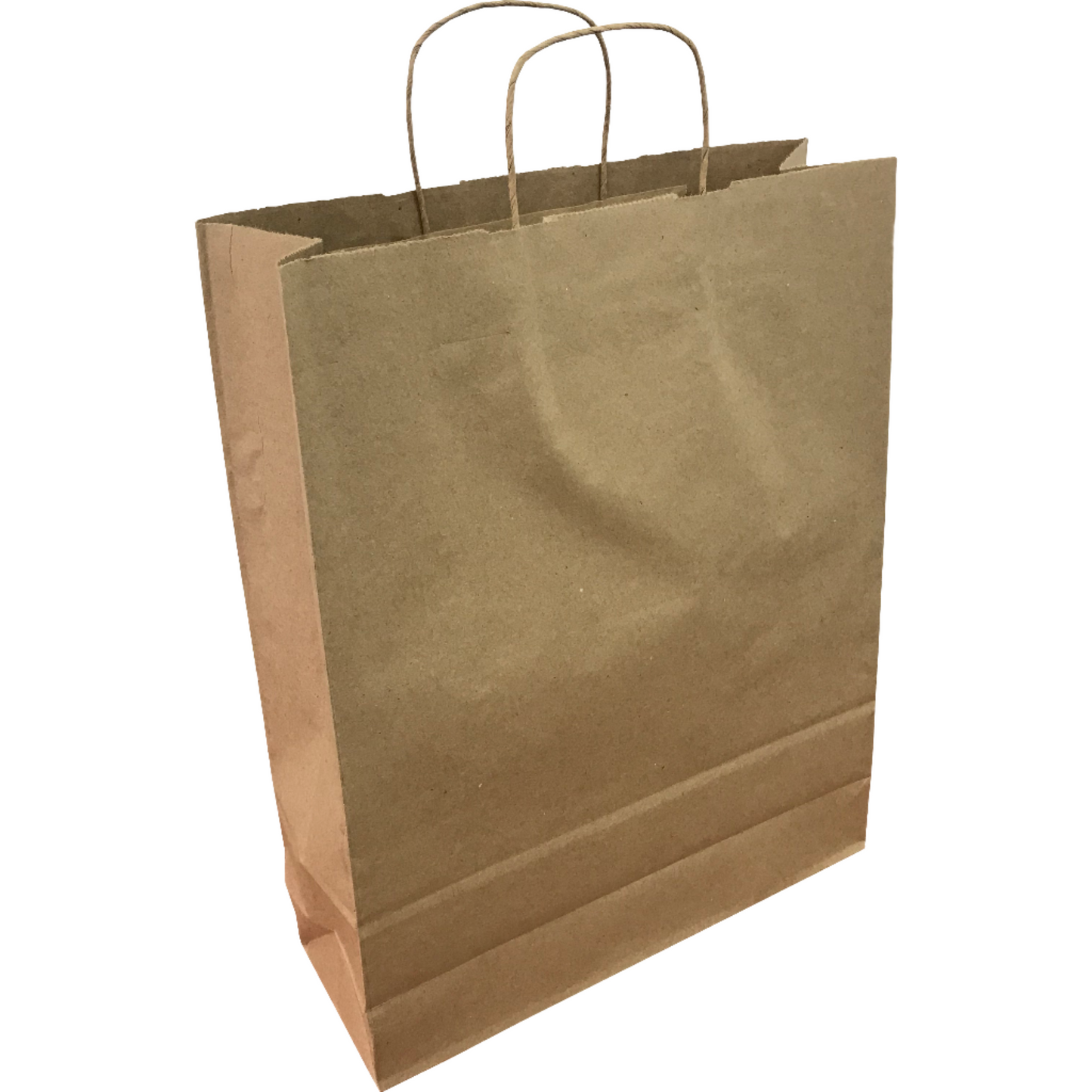 Kraft Paper Bags 25 Pack