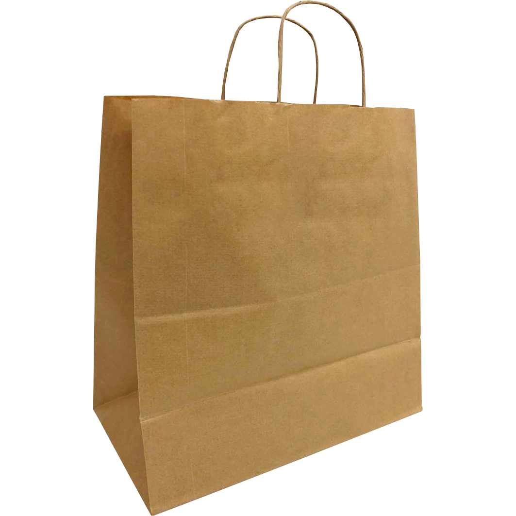 Kraft Paper Bags 25 Pack