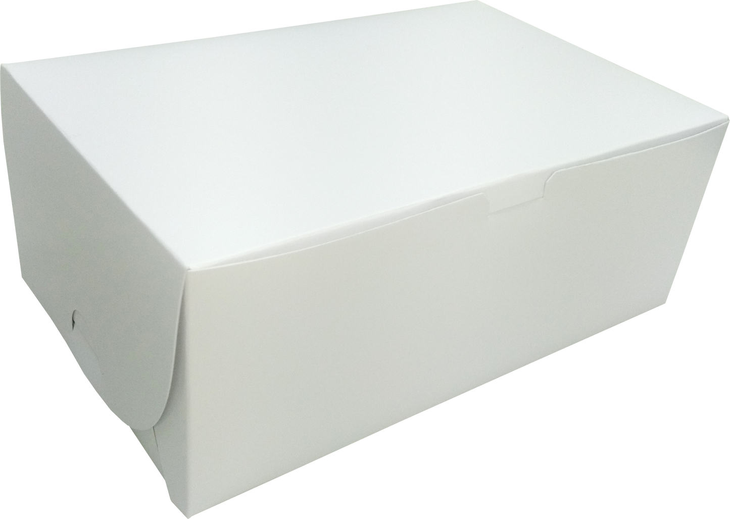 Multicolor Medium Box 25 Pack