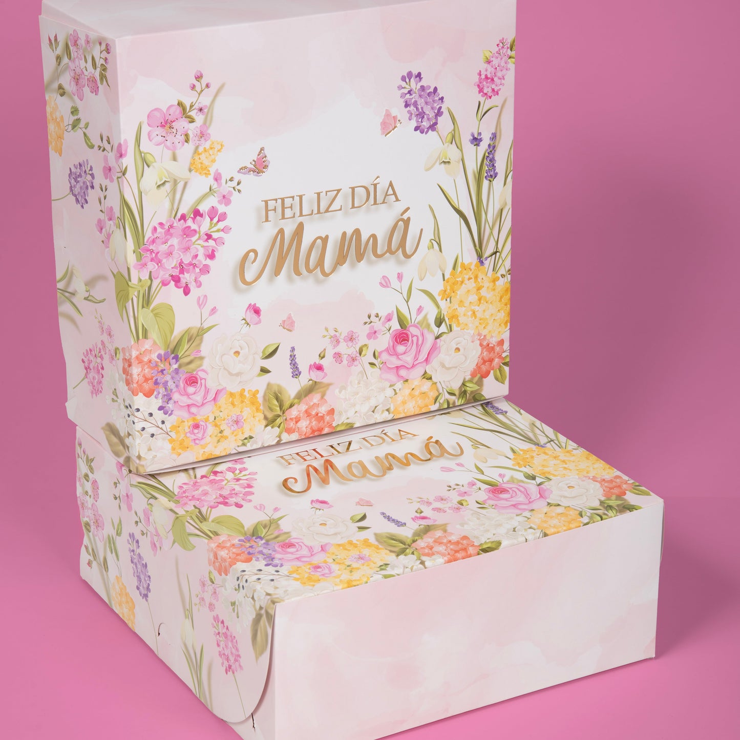 Caja Grande