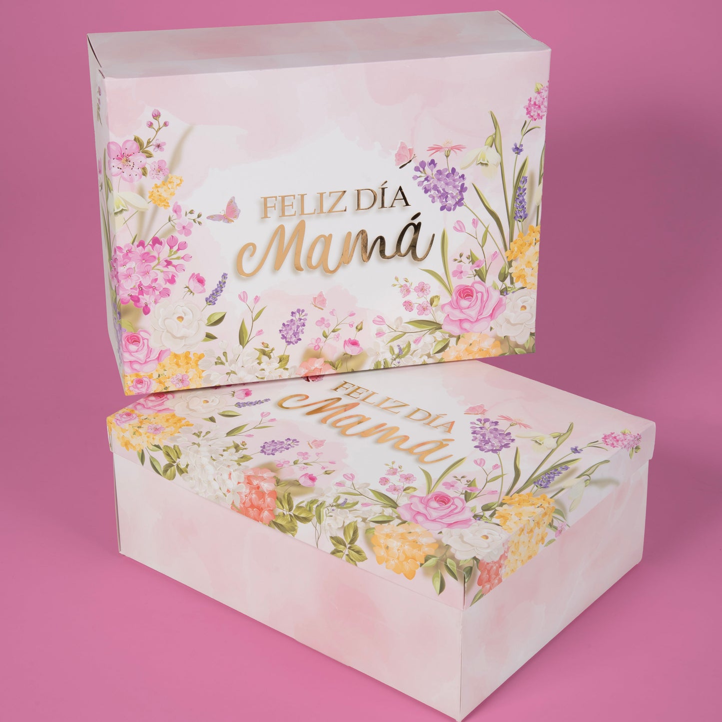Caja con Tapa