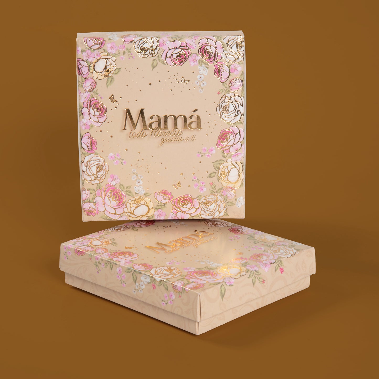 Caja Accesorios