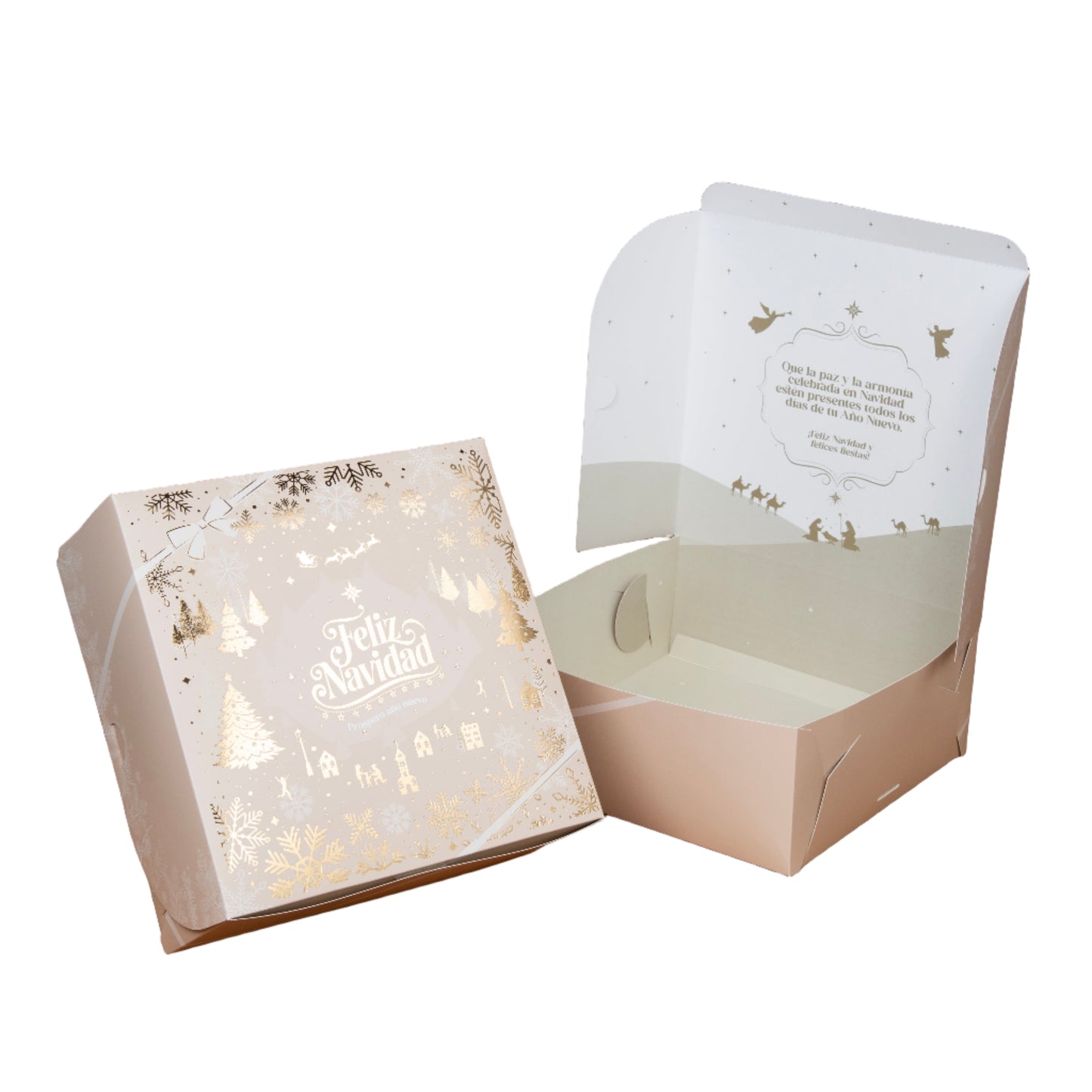 Navidad Premium Big Box