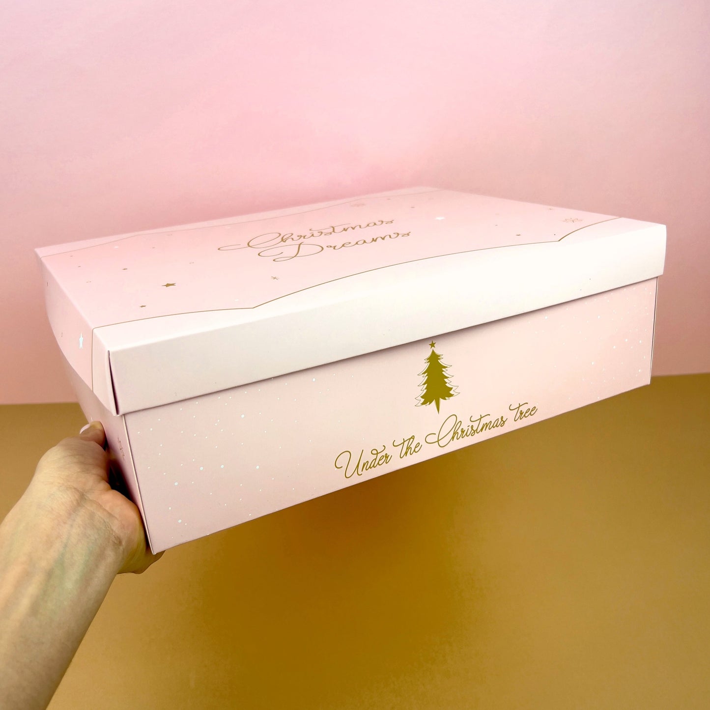BIG GIFT BOX PINK CHRISTMAS DREAMS